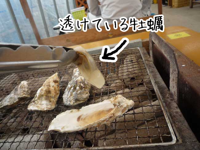 牡蠣の飛龍丸の牡蠣　透明牡蠣