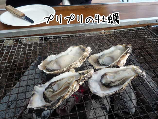 糸海　牡蠣