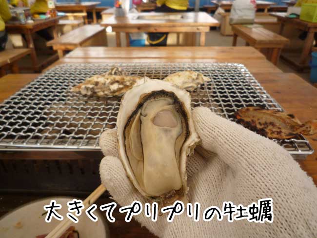 千龍丸　大きくてきれいな牡蠣