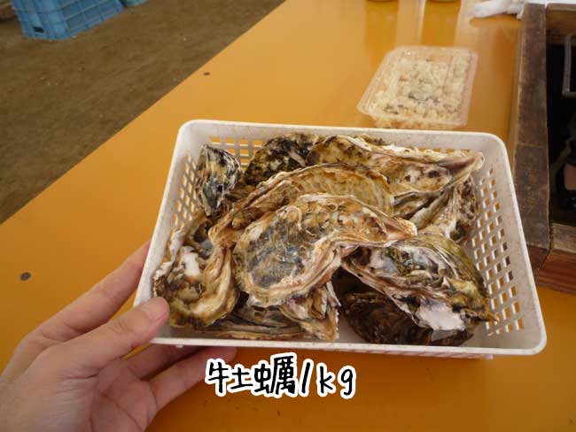 福吉漁港　伸栄丸（佐々木）　牡蠣１ｋｇ